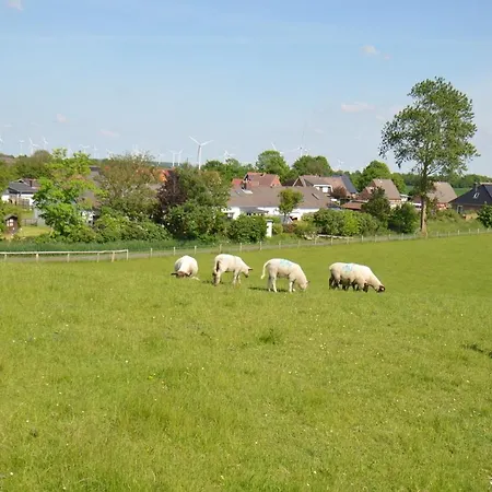 Deichgraf Haushaelfte Friedrichskoog