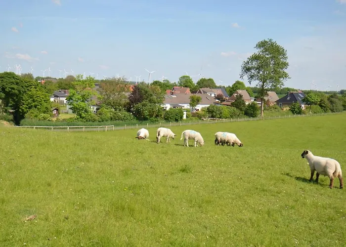 Deichgraf Haushaelfte Friedrichskoog